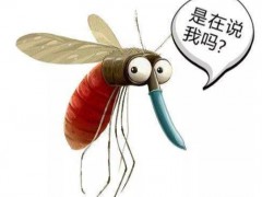 昆虫叮咬跟夏天一起回归 医生支招如何预防及应对虫叮咬